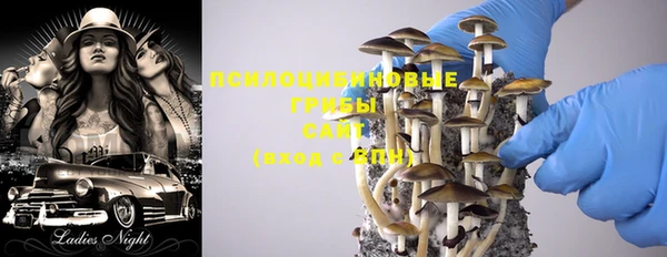 гашик Струнино