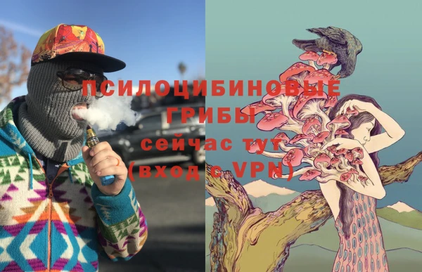 ПСИЛОЦИБИНОВЫЕ ГРИБЫ Ступино