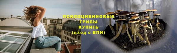 ПСИЛОЦИБИНОВЫЕ ГРИБЫ Ступино