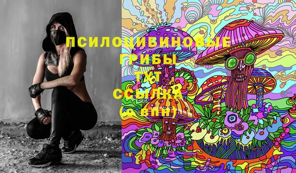 ПСИЛОЦИБИНОВЫЕ ГРИБЫ Ступино