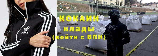 гашик Струнино