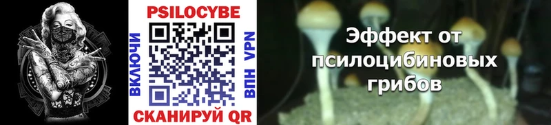 Галлюциногенные грибы Psilocybine cubensis  Купить закладки  Липецк 